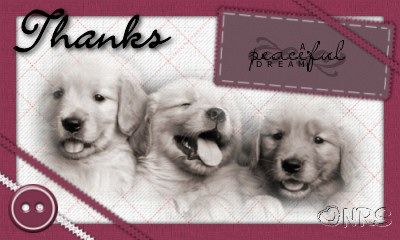 Animals: Dogs Thanks_Dream_NRS_zps6d756f6e