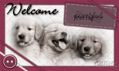 Animals: Dogs Welcome_Dream_NRS_zpse08bb389