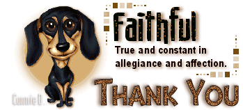 Animals: Dog-Faithful Image12-dog_zpsb8ab45c7