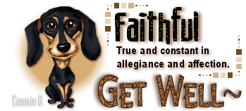 Animals: Dog-Faithful Image6-dog_zps11a552fb