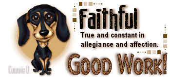 Animals: Dog-Faithful Image7-dog_zps2a967bab