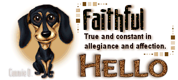 Animals: Dog-Faithful Image8-dog_zpsa91b8b1b