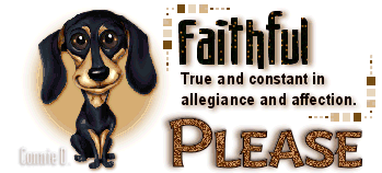 Animals: Dog-Faithful Image9-dog_zps5384a3ab