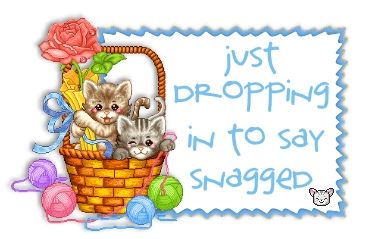 Animals: Kitten Basket Tagdrop-snagged-Ashlyn2004_zps60541eb9