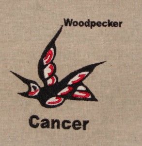 Jun 21 – Jul 21 Native-American-Zodiac-Animal-Woodpecker-293x300_zps7f05f786
