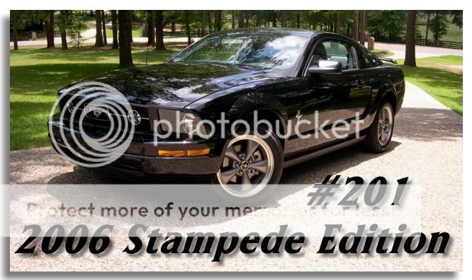 Ford mustang stampede edition #8