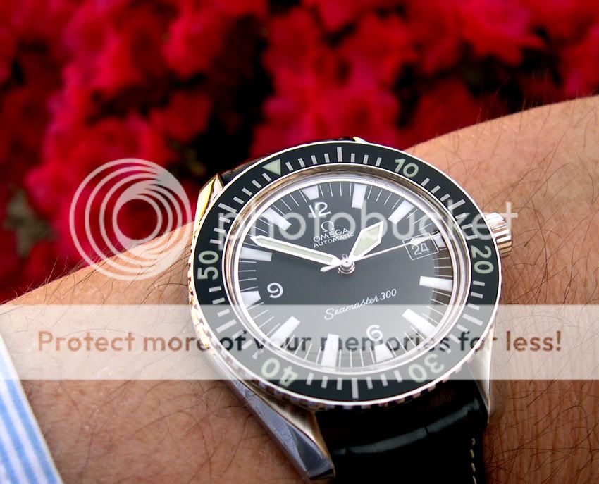 Vraie et fausses Seamaster 300 [Watchco ...] WSFW0409