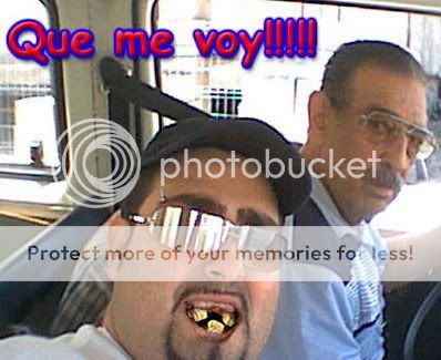 02a.jpg