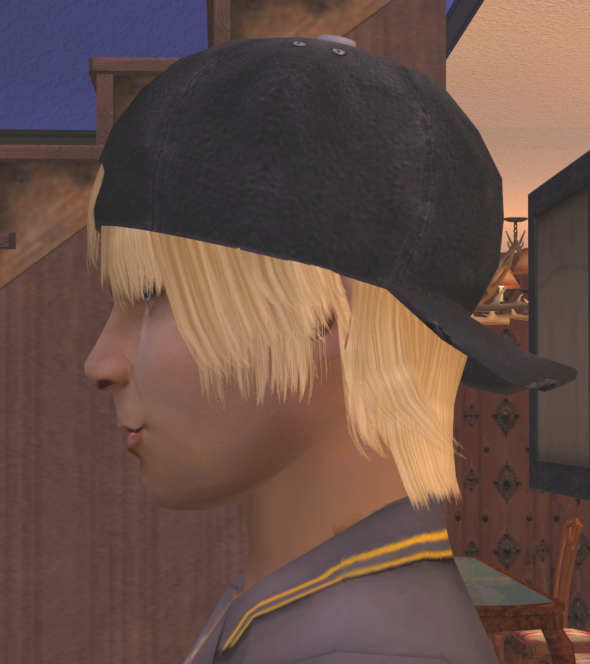 photo Sims2EP9 2016-05-24 11-32-40-26.png