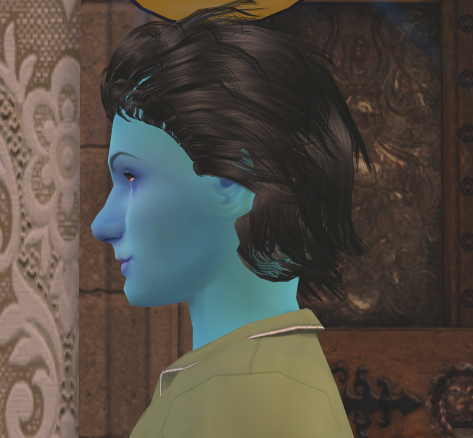 photo Sims2EP9 2016-05-24 11-37-27-28.png