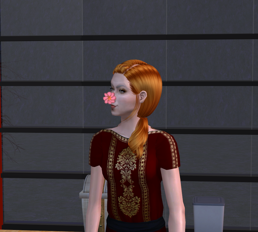 photo Sims2EP9 2016-03-21 21-07-50-20.png