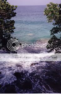 Image hosted by Photobucket.com