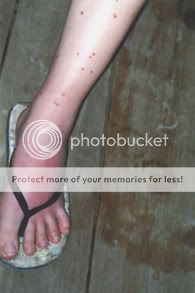 Image hosted by Photobucket.com