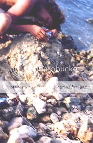 Image hosted by Photobucket.com