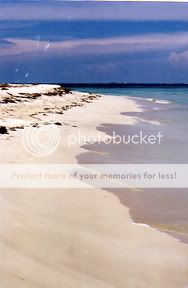 Image hosted by Photobucket.com