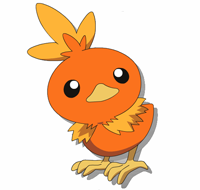 User Image