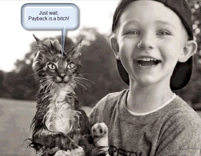 Posted Image