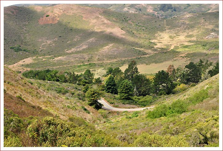 photo Treesinthevalley_zps3a8bbada.jpg