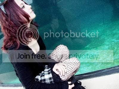 Photobucket - Video and Image Hosting