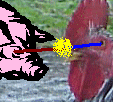 [PokeCommunity.com] Chicken!