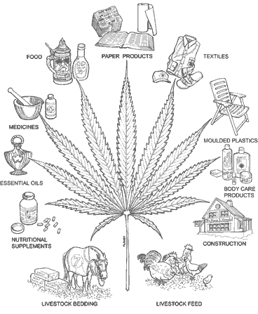 Un autre regard sur le Cannabis. La solution écologique ? Hemp01