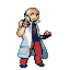 [PokeCommunity.com] Team spriters