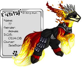 User Image