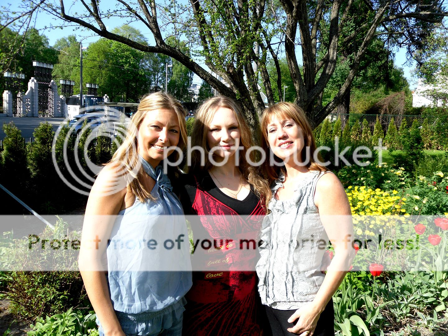 Songfestival.web-log.nl