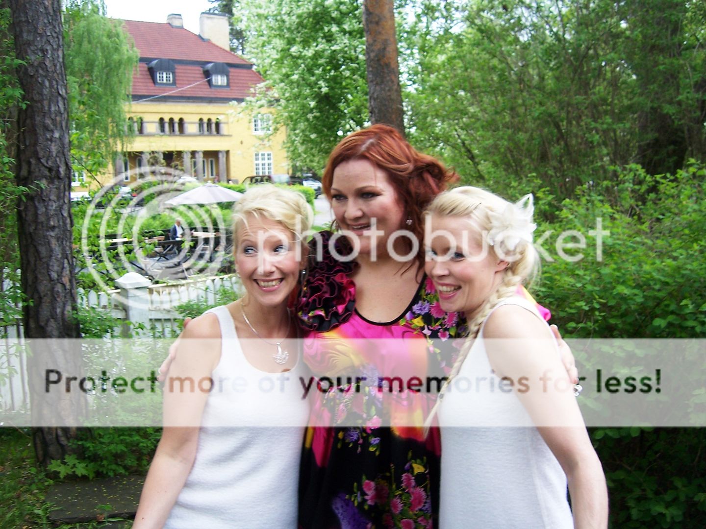 Songfestival.web-log.nl