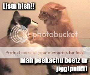 Funny Photos LolCatRenderer2aspx