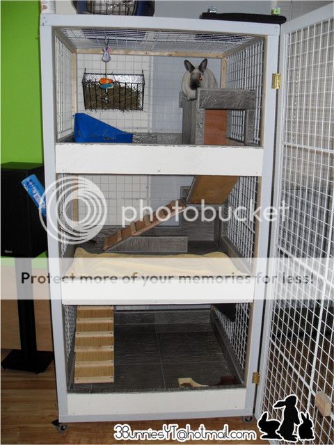 Our bunnyâ s luxury condo (Picture-heavy!!) | Rabbits Online Pet Rabbit ...