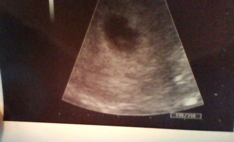 photo picture034.jpg