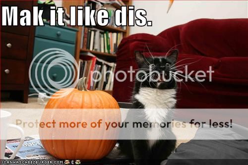 makeitlikedis photo funny-pictures-cat-helps-you-carve-a-pumpkin_zps3194ae43.jpg