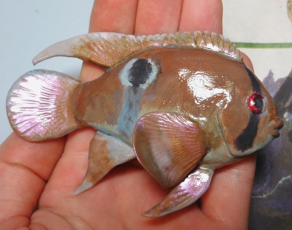 Finished Clay Cichlid!!! DSCN0362