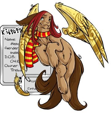 User Image