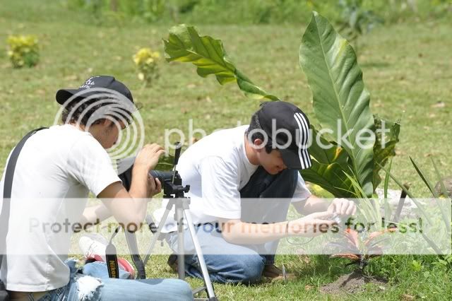 Fotos en Jardin botanico en Progreso D7X_2263SM