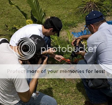 Fotos en Jardin botanico en Progreso Rwerner07