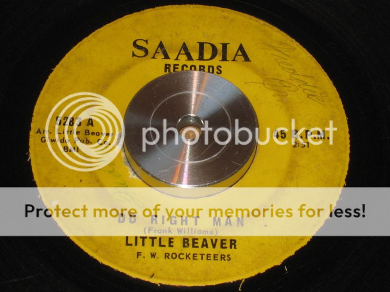 LittleBeaver-Saadia.jpg