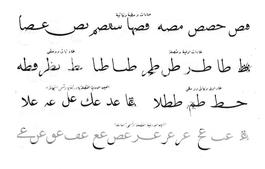 دروس خط النسخ للخطاط هاشم محمد الخطاط 4