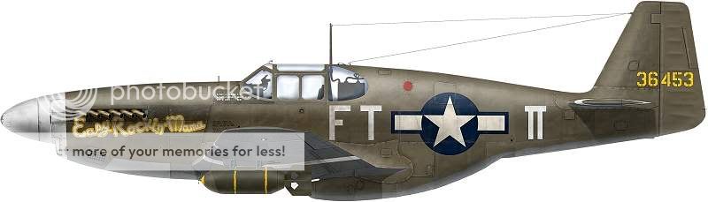 Les derniers p'tits profils....     [Spit, Mustang, B-17] P-51_800