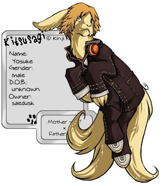 User Image
