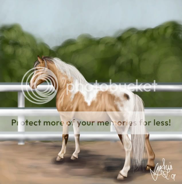 (News. 14.12.10 - Calendriers) Dessin de votre cheval Blackarrowcopie-9