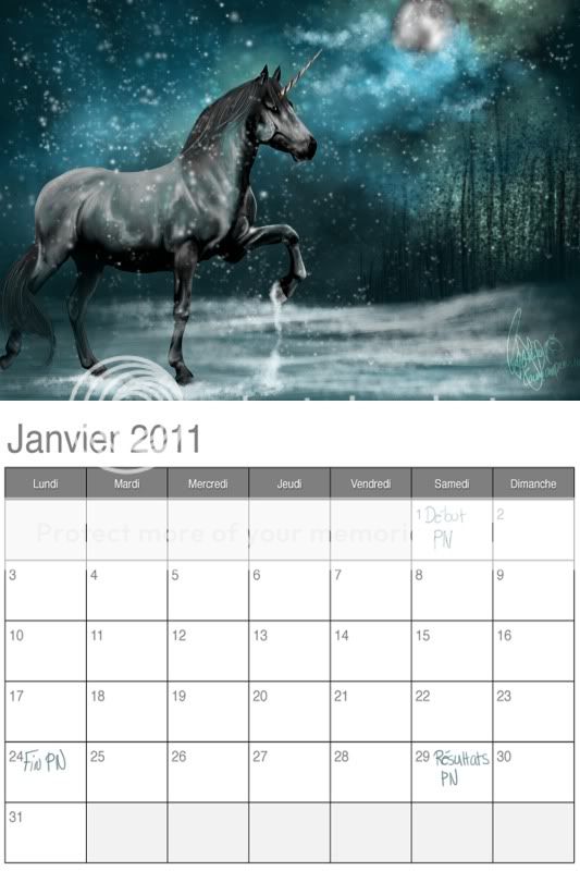 Le Calendrier d'Equid'Design - Page 12 CalendrierED
