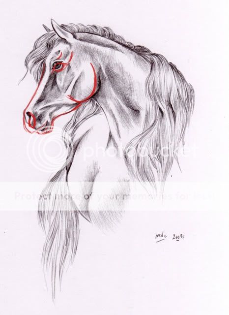 cheval [bic] Exempledessin