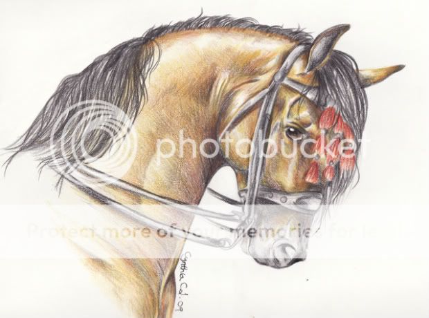 Les dessins du mois de Novembre '09 Horseportrait2_0003