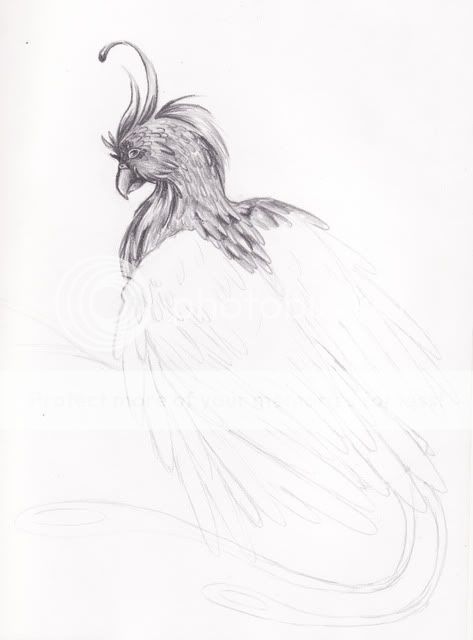 Phoenix (Graphite + Crayons de couleur) Pheonix