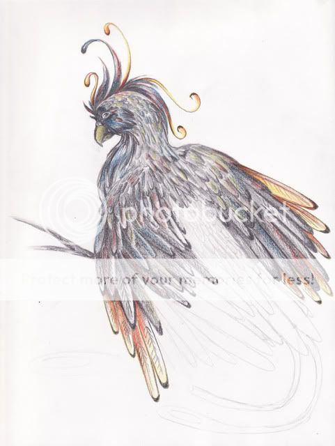 Phoenix (Graphite + Crayons de couleur) Phnix