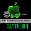 Slytherin Pride 228000