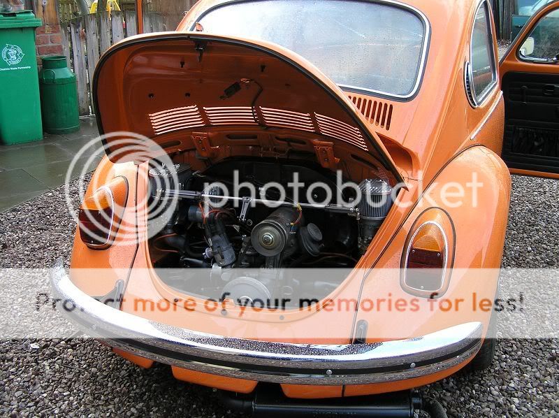 My orange bug - Page 2 PC280387