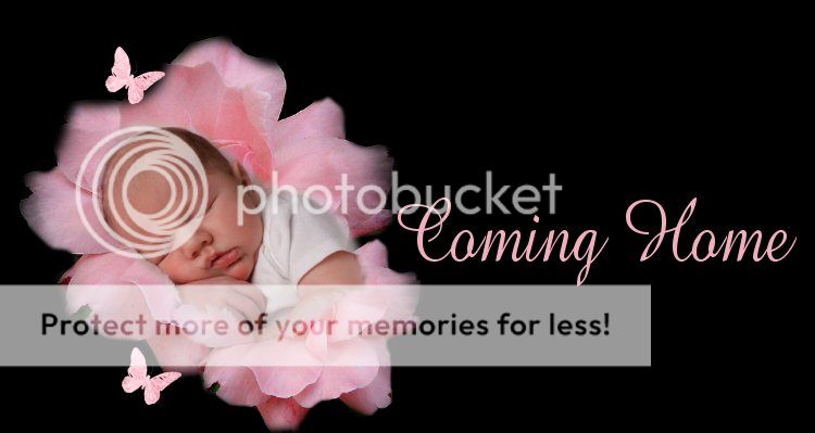 Reborn Baby Gabriella / Amazing Painted Hair / By Cradle Creations 